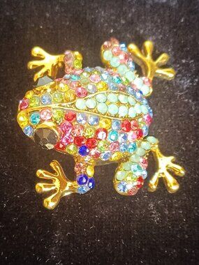 Multi Colored Frog Brooch